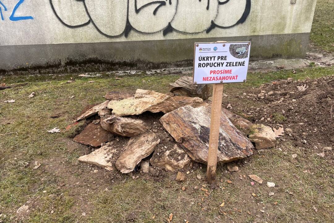 FOTO: V Košiciach vybudovali nové úkryty pre ropuchy. Ochránari by inak nepovolili revitalizáciu fontány