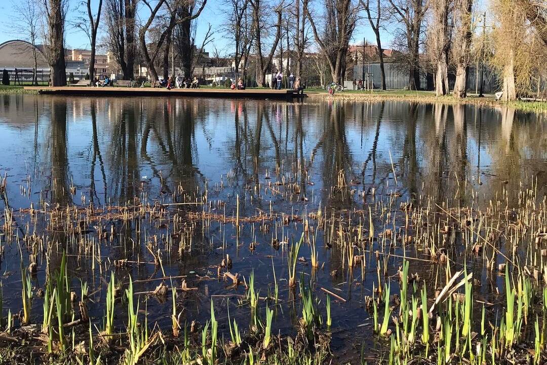 Foto: Košičana prekvapilo, čo videl. Neznámy človek si z koša vytiahol pohár a napil sa vody z jazierka