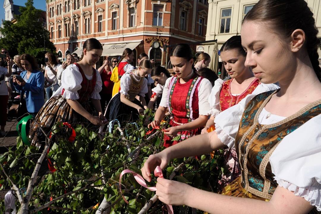 FOTO: Majestátne máje už zdobia mestá a obce v Košickom kraji. Pozrite na tú nádheru