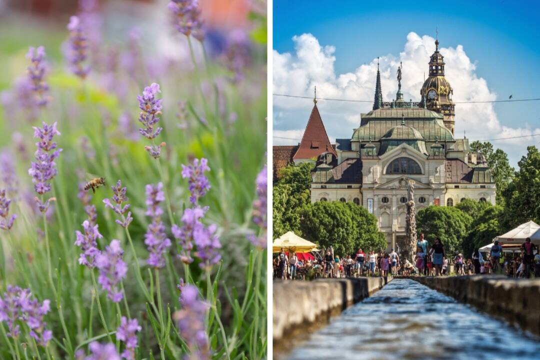 Foto: Kúsok Provensálska priamo v srdci Košíc. Vedeli ste o tomto čarovnom mieste?