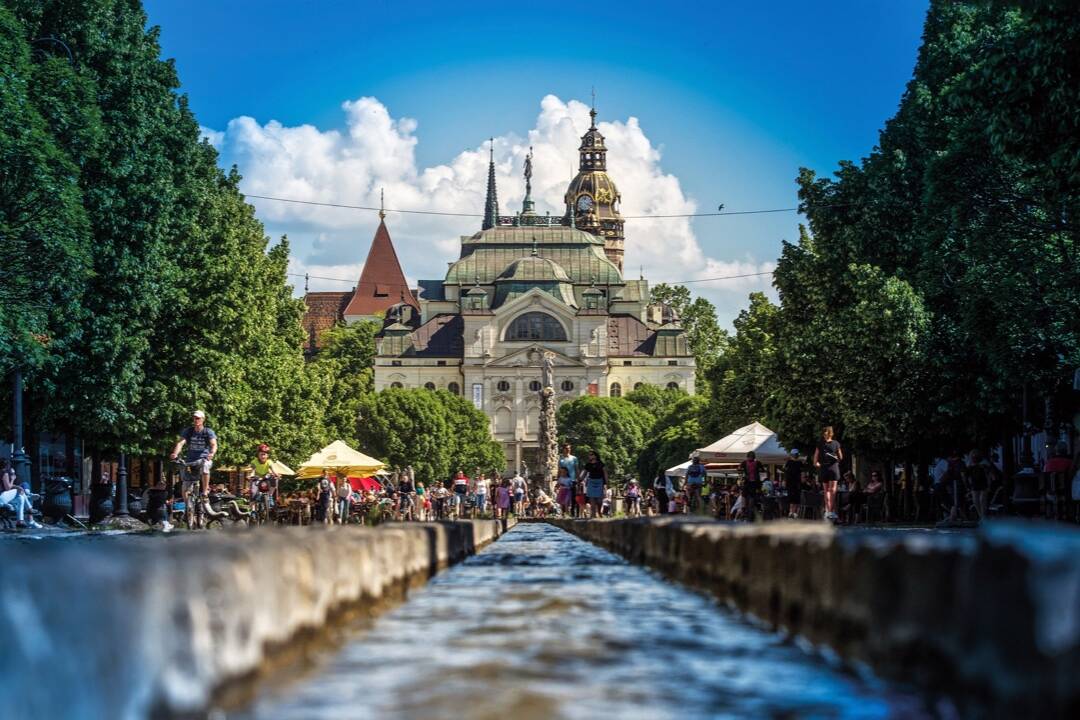 Foto: Košické mestské časti a okolité obce sa premenia na zelené oázy. Čo všetko je v pláne?