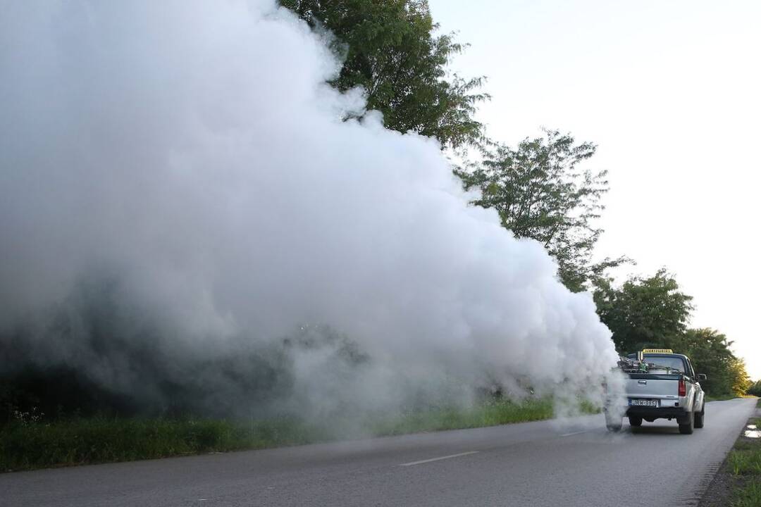 Kráľovský Chlmec sa pustil do boja proti komárom. Dnes večer z domu nevychádzajte