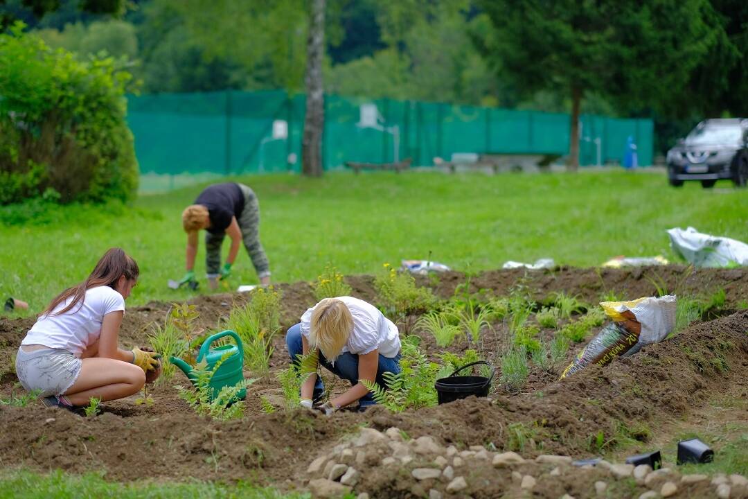 Foto: Urob niečo pre seba aj pre druhých. Staň sa dobrovoľníkom Košického kraja a zaži nezabudnuteľné leto