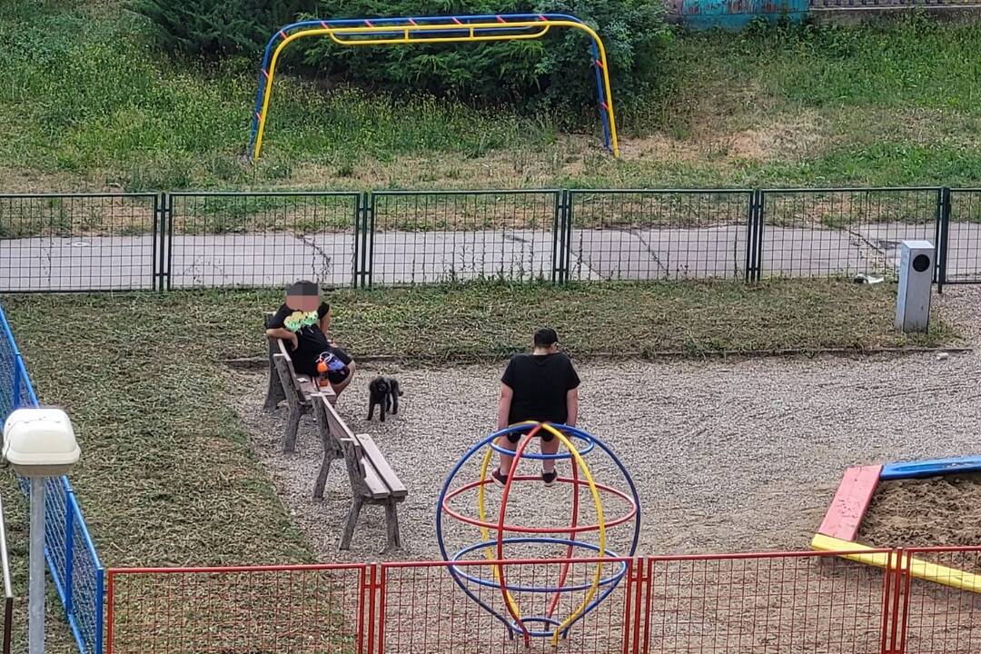 Foto: Košičania majú ťažké srdcia na psičkárov. Na detských ihriskách zanechávajú za sebou exkrementy a ohorky