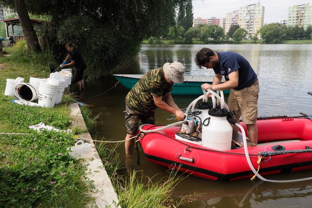 Foto: V areáli na sídlisku Nad jazerom sa v stredu neokúpete. Z vody budú odstraňovať nebezpečné sinice