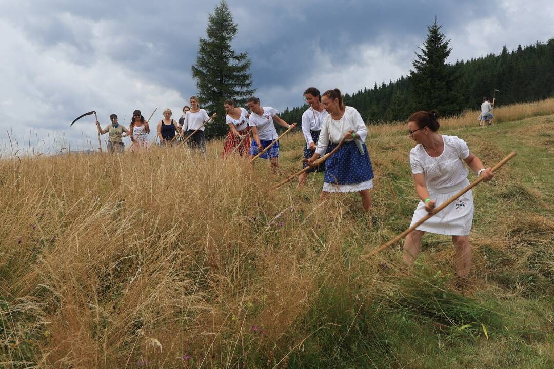 FOTO: Kopanecké lúky ožili tradičným kosením. Stovka nadšencov udržiava prírodný klenot