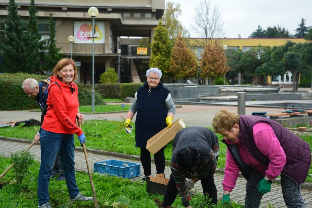 FOTO: Práce sa neboja. Seniori zo Šace vzali náradie a zveľadili záhony na námestí