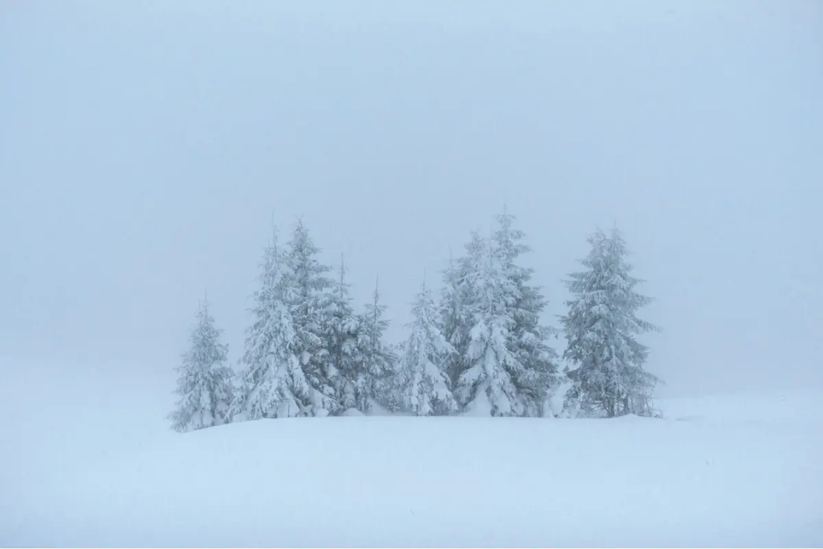 Foto: Slovensko je na Štedrý deň pod tlakom vetra a snehu: Okresy v Košickom kraji sú pod výstrahou 