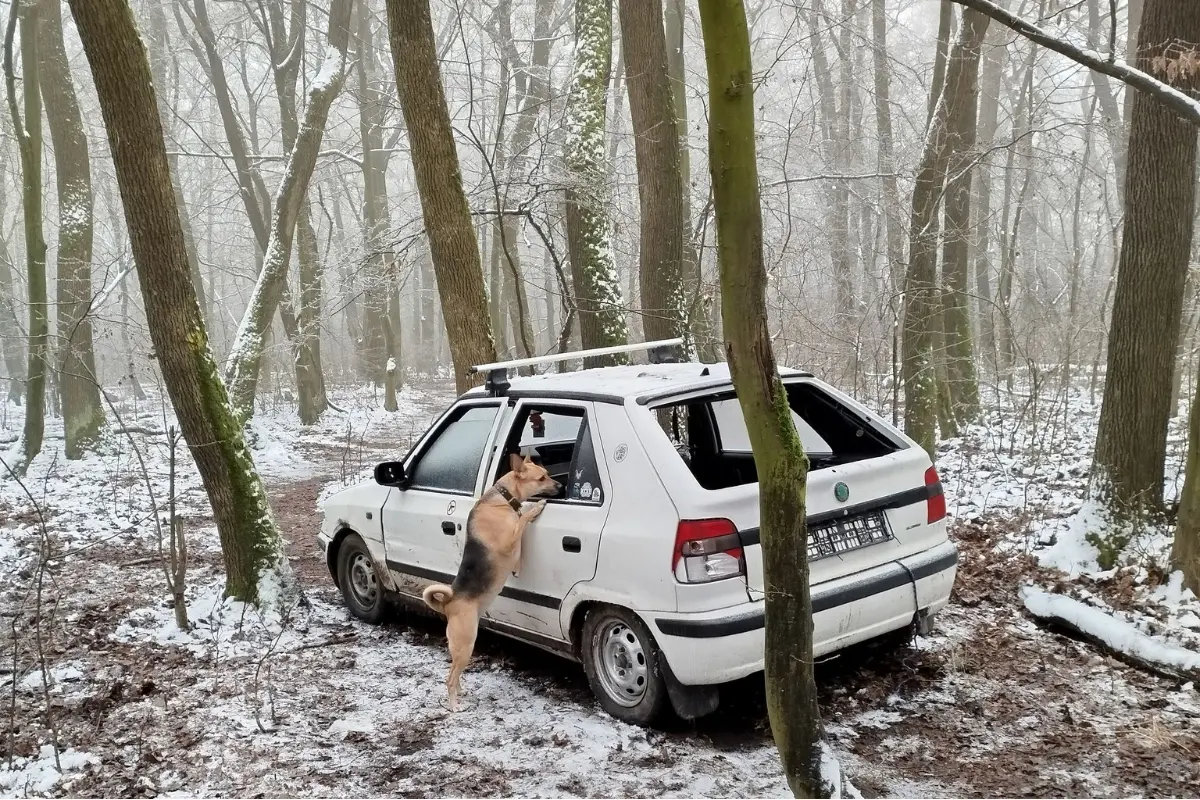 Foto: Niekto si svoj vrak odparkoval priamo v lese nad Hanojskou, je to normálne?, pýtajú sa obyvatelia sídliska