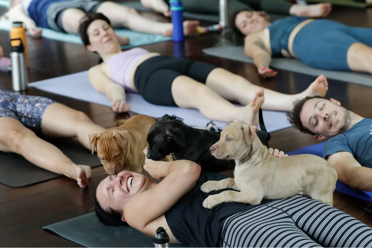 Foto: Joga so šteniatkami, Kráľ Roger, či Psychologická sebaobrana? Prinášame veľký prehľad tipov na víkendový program