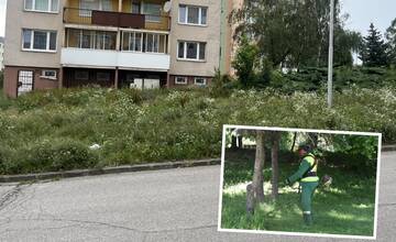 Obyvateľom Furče zrejme praskli nervy. Hľadajú brigádnikov, ktorí im pokosia pred domom