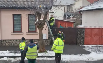 Niekto maká a niekto sa pozerá? Južanka sa nestretla s pochopením svojej kritiky, mala ich ponúknuť teplým čajom