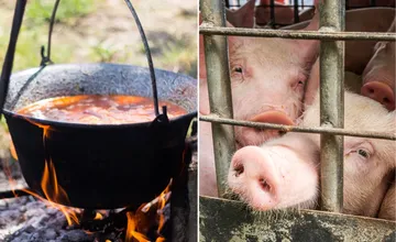 Fašiangovej tradícii odzvonilo. Verejné zabíjačky sú zakázané, čo sa povoľuje? 