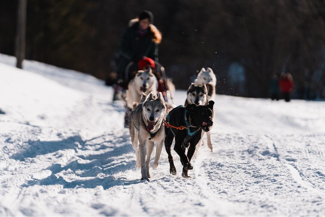 FOTO: Slávnostné otvorenie novej bežeckej požičovne v Snow park Ľadová, foto 5