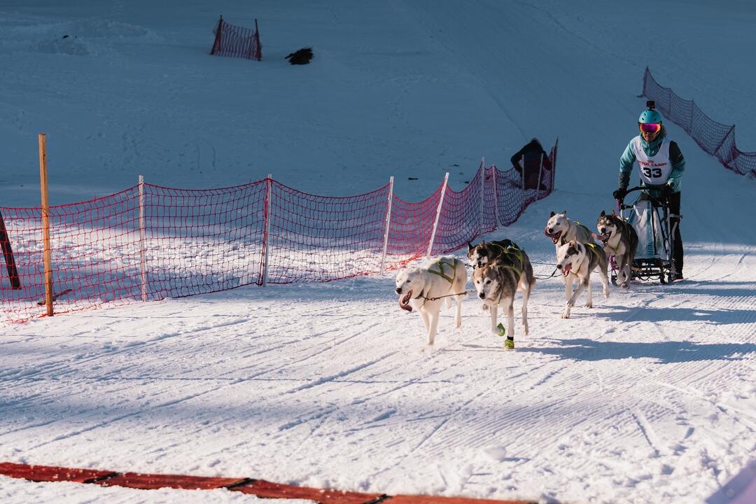 FOTO: Slávnostné otvorenie novej bežeckej požičovne v Snow park Ľadová, foto 7