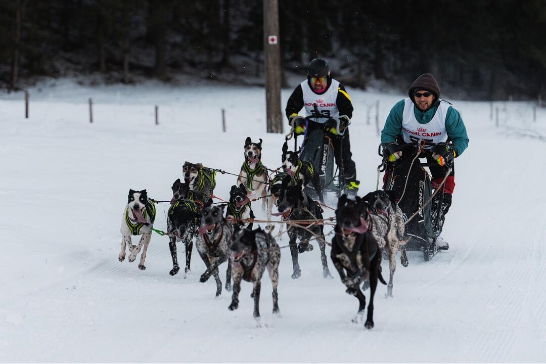 FOTO: Slávnostné otvorenie novej bežeckej požičovne v Snow park Ľadová, foto 9