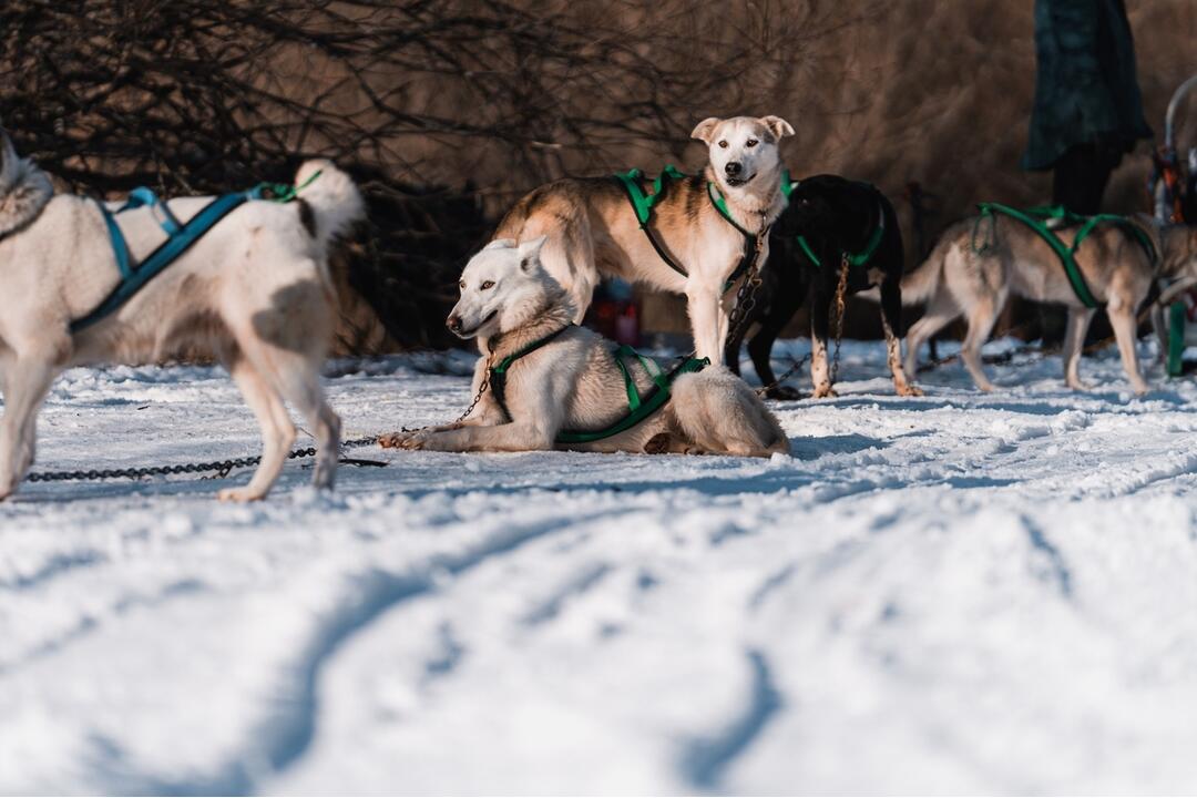 FOTO: Slávnostné otvorenie novej bežeckej požičovne v Snow park Ľadová, foto 12