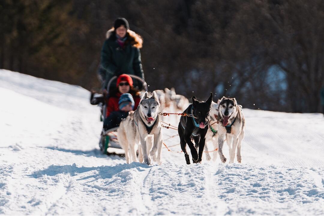 FOTO: Slávnostné otvorenie novej bežeckej požičovne v Snow park Ľadová, foto 21