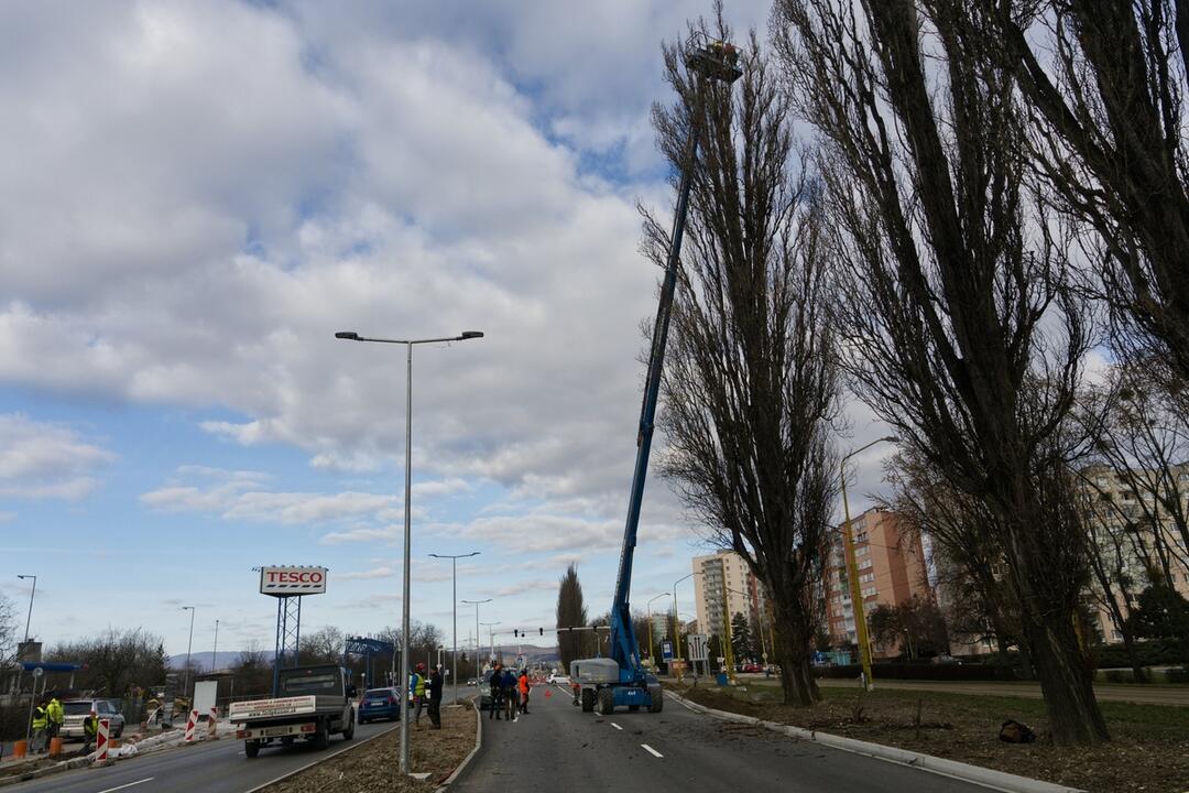 FOTO: Na Slaneckej ceste orezávajú a ošetrujú stromy, foto 4