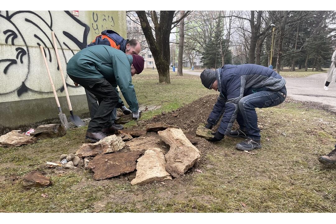 FOTO: Úkryty pre ropuchy v Košiciach, foto 2