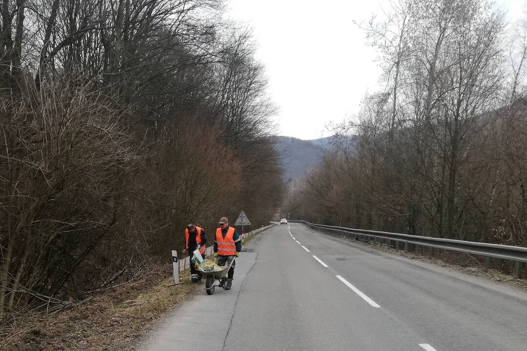 FOTO: Dobrovoľníci pomáhajú pri migrácii žiab, foto 7