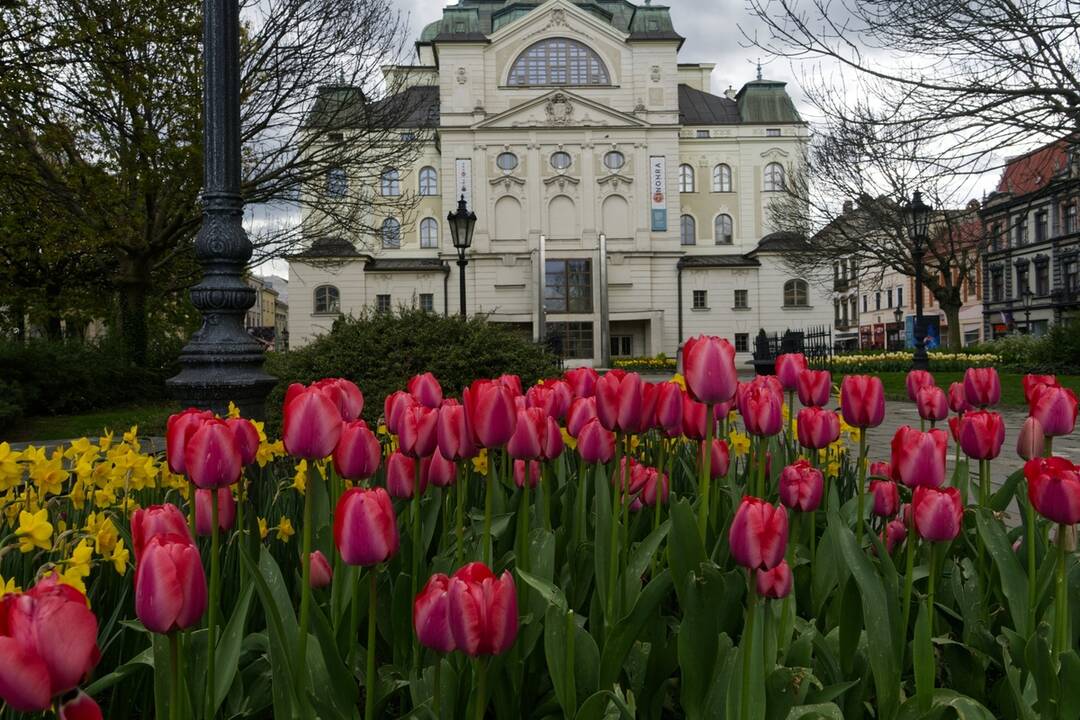 FOTO: Rozkvitnuté Košice sú pastvou pre oči, foto 5