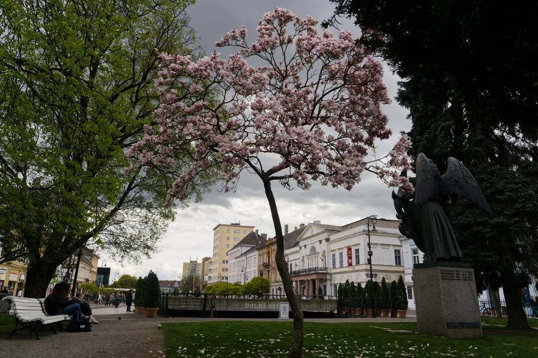 FOTO: Rozkvitnuté Košice sú pastvou pre oči, foto 7