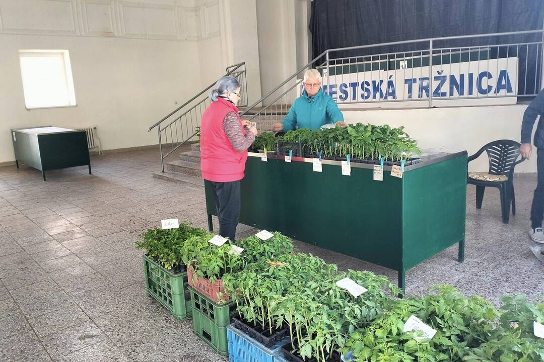 FOTO: Trebišovčania môžu opäť nakupovať v mestskej tržnici, foto 3