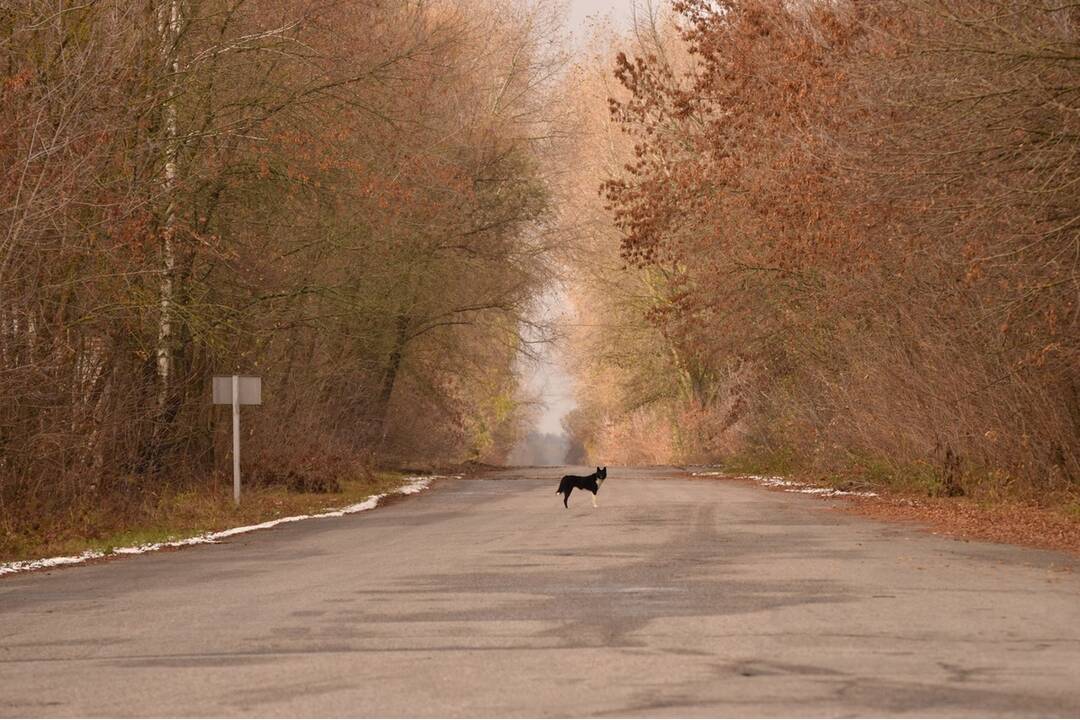 FOTO: Mestá duchov Černobyľ a Pripjať, foto 114