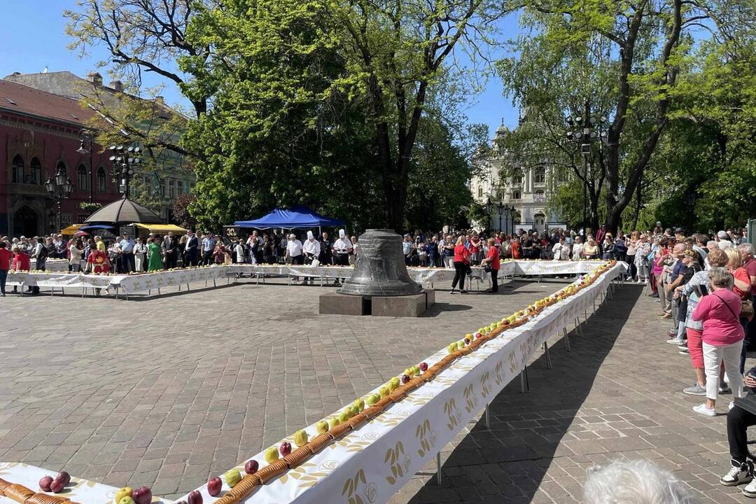 FOTO: 90-metrový makovník v centre Košíc, foto 2