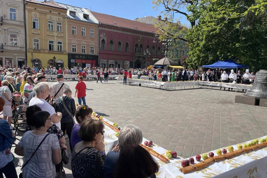 FOTO: 90-metrový makovník v centre Košíc, foto 5