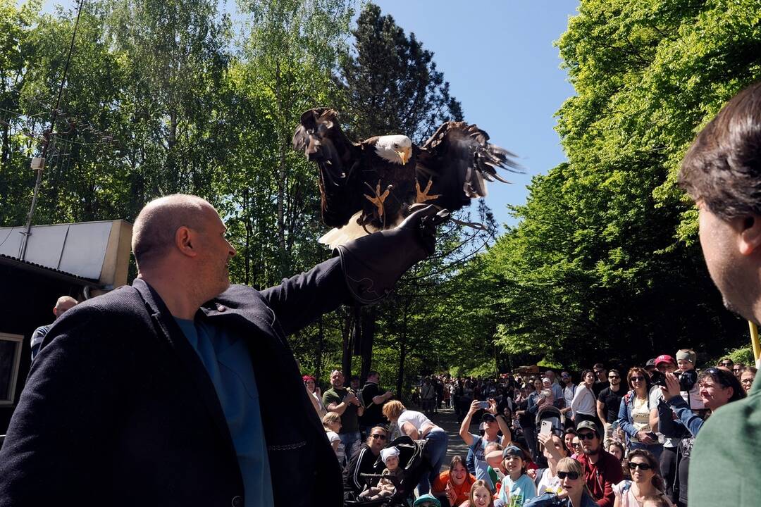 FOTO: Slávnostne otvorenie košickej ZOO, foto 19