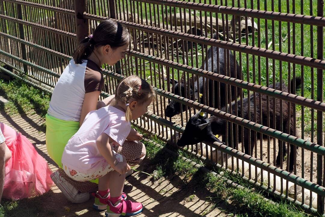 FOTO: Slávnostne otvorenie košickej ZOO, foto 13