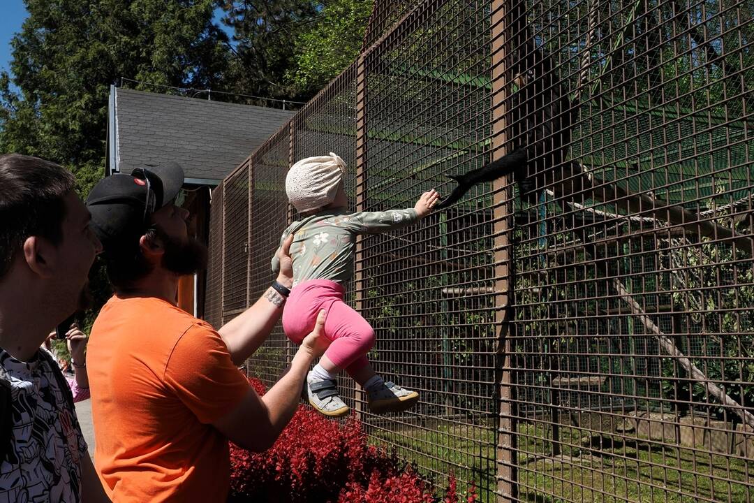 FOTO: Slávnostne otvorenie košickej ZOO, foto 15