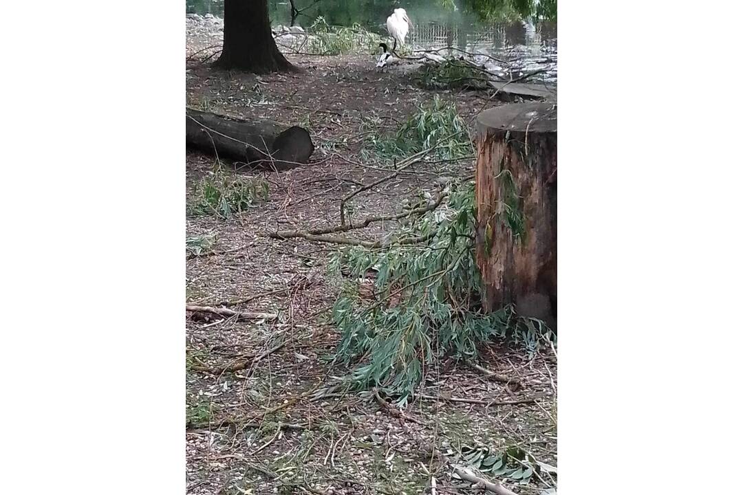 FOTO: Košickú zoologickú záhradu zasiahla veterná smšť, foto 3