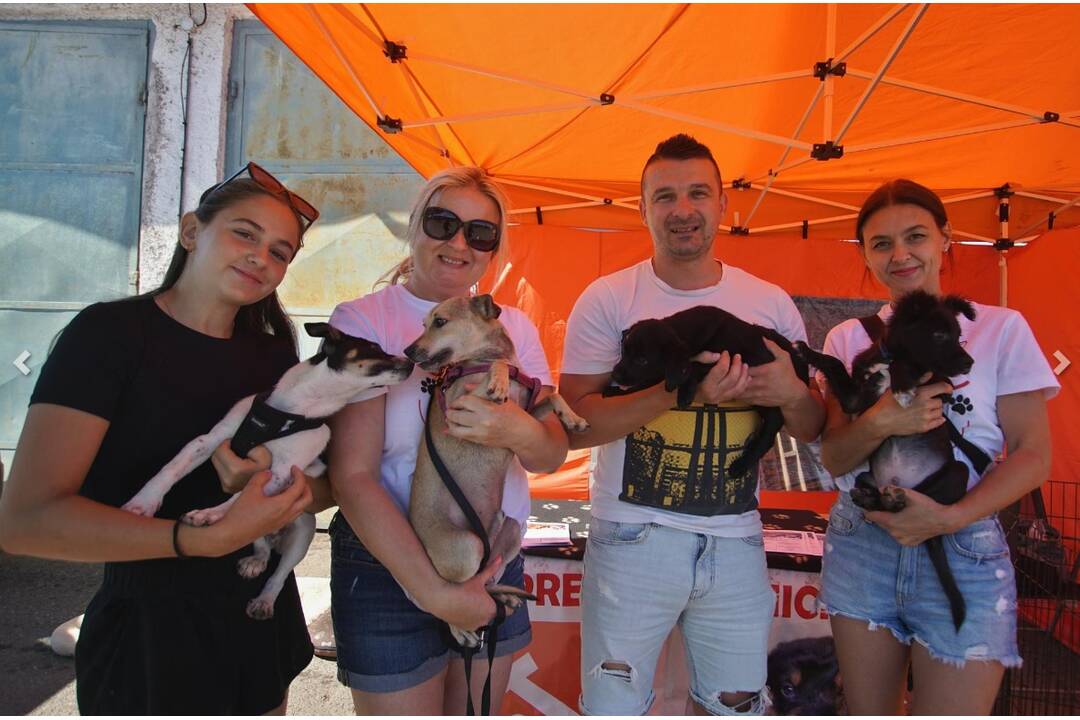 FOTO: Technické služby mesta Michalovce otvorili brány verejnosti, foto 16