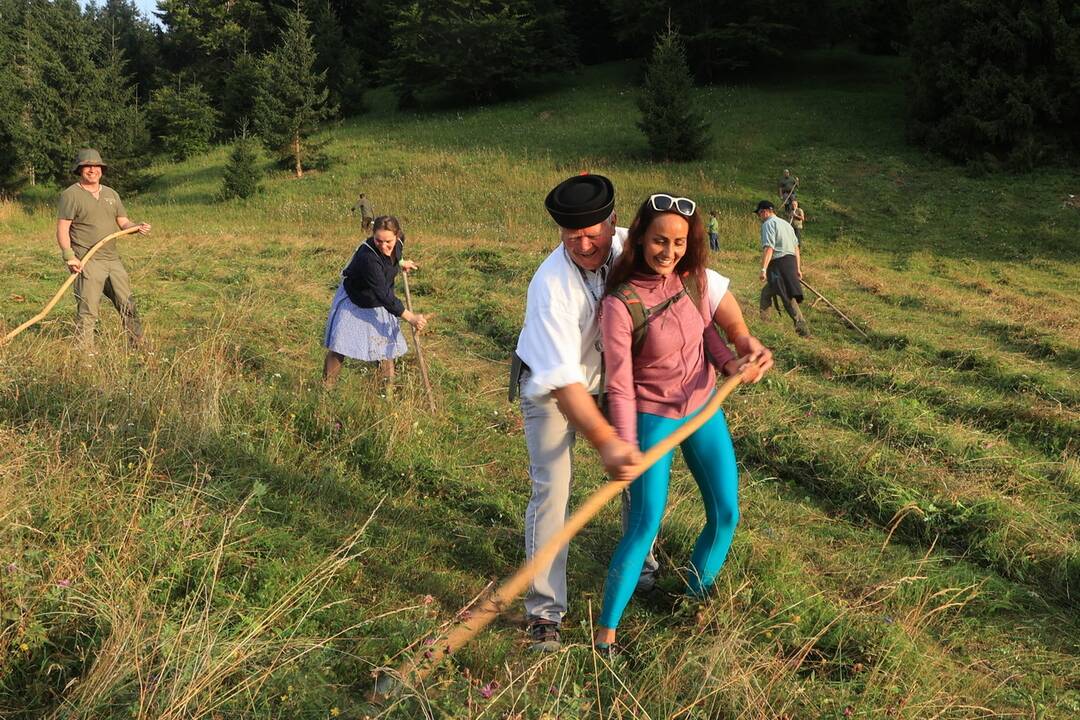 FOTO: Už šiesty rok dobrovoľníci kosili Kopanecké lúky, foto 1