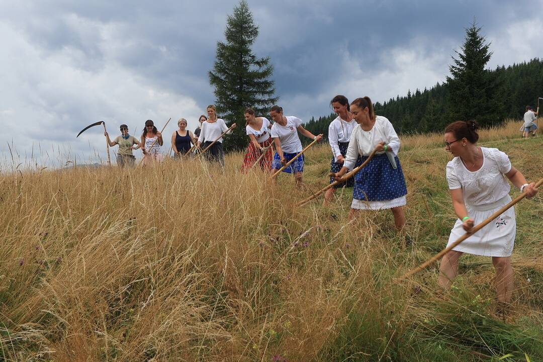 FOTO: Už šiesty rok dobrovoľníci kosili Kopanecké lúky, foto 3