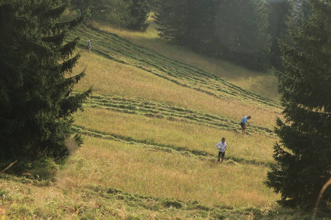 FOTO: Už šiesty rok dobrovoľníci kosili Kopanecké lúky, foto 4