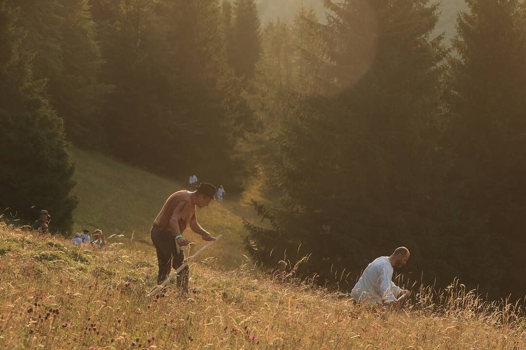 FOTO: Už šiesty rok dobrovoľníci kosili Kopanecké lúky, foto 7