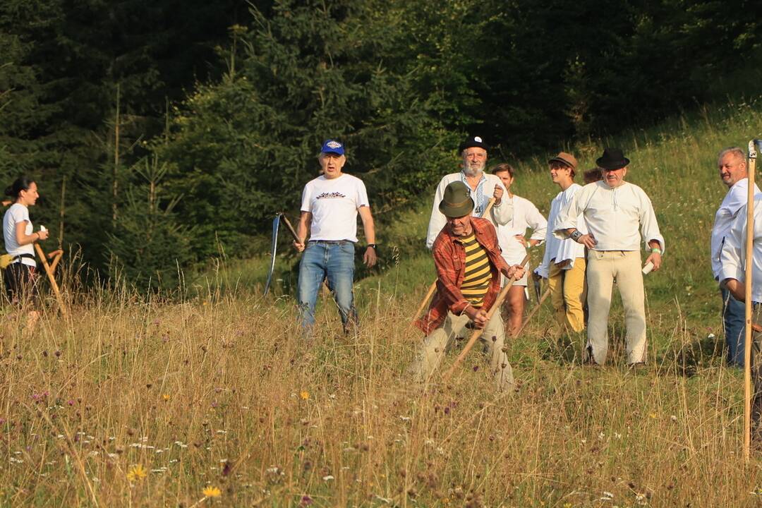 FOTO: Už šiesty rok dobrovoľníci kosili Kopanecké lúky, foto 8