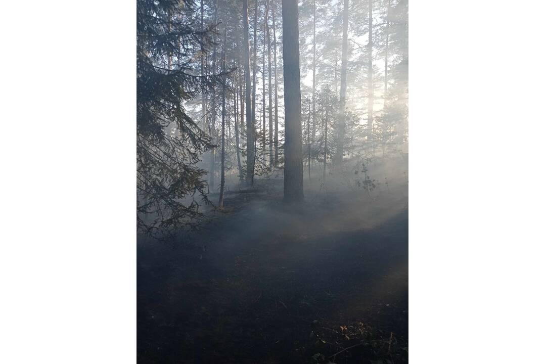 FOTO: Neďaleko Tomášovského výhľadu vypukol požiar, foto 5