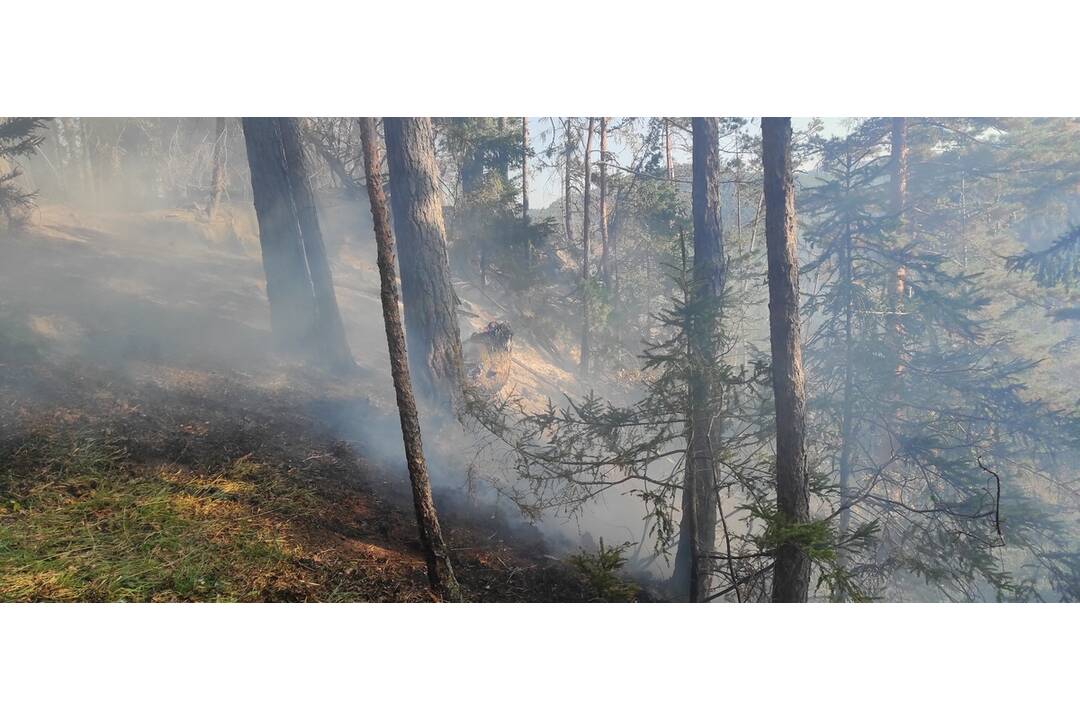 FOTO: Neďaleko Tomášovského výhľadu vypukol požiar, foto 8