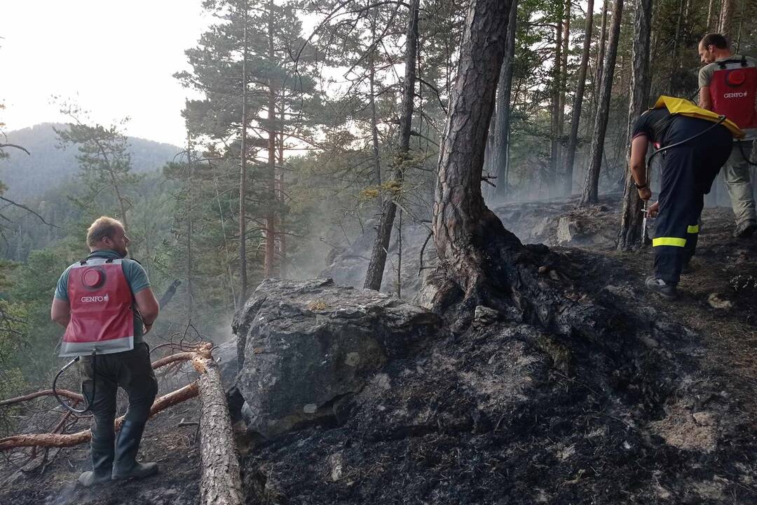 FOTO: Neďaleko Tomášovského výhľadu vypukol požiar, foto 18