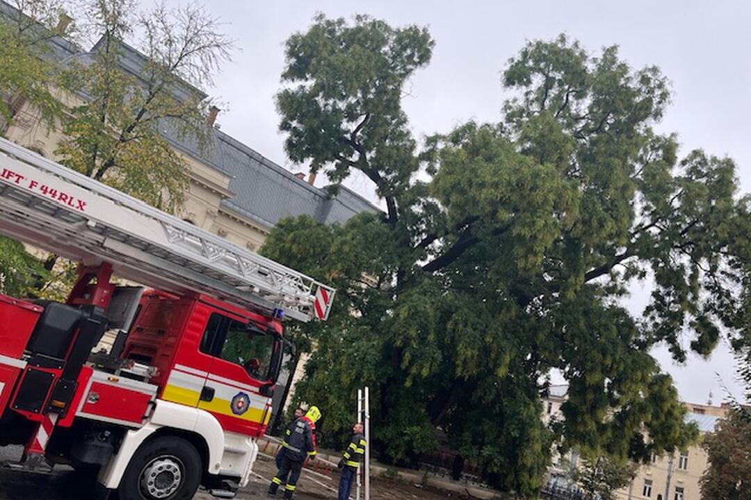 FOTO: Pri Východoslovenskom múzeu v Košiciach spadla vetva stromu, foto 1