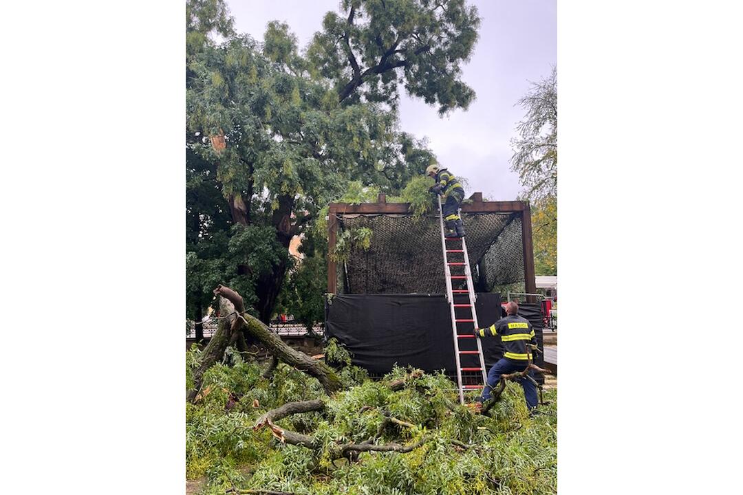 FOTO: Pri Východoslovenskom múzeu v Košiciach spadla vetva stromu, foto 2