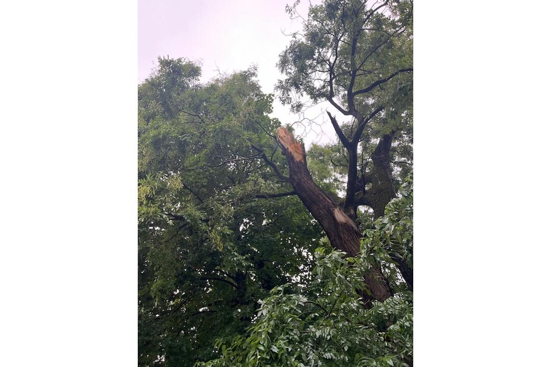 FOTO: Pri Východoslovenskom múzeu v Košiciach spadla vetva stromu, foto 5