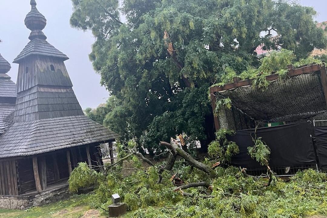 FOTO: Pri Východoslovenskom múzeu v Košiciach spadla vetva stromu, foto 6