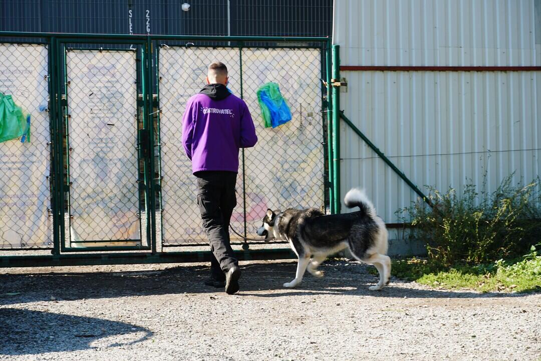 FOTO: Deň v breznianskom útulku Tuláčik, foto 19