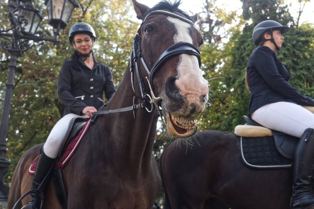 FOTO: Hubertova jazda je po roku späť. Ako vyzerala v predošlých rokoch?, foto 5